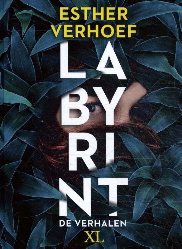 Omslag van Labyrint