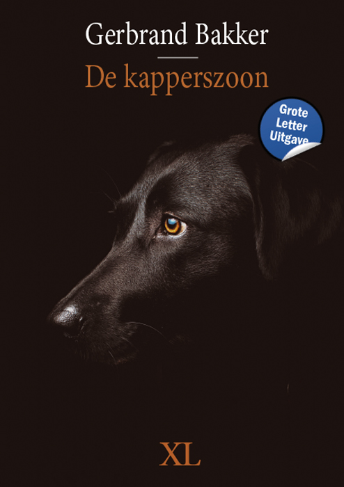 Omslag van De kapperszoon