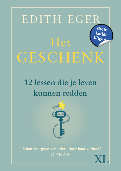 Omslag van Het geschenk