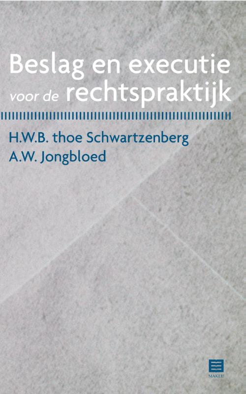 Omslag van Beslag en executie voor de rechtspraktijk
