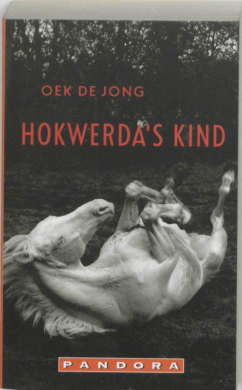 Omslag van Hokwerda's kind