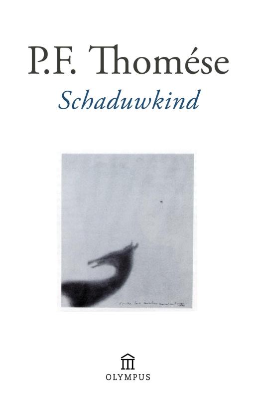 Omslag van Schaduwkind