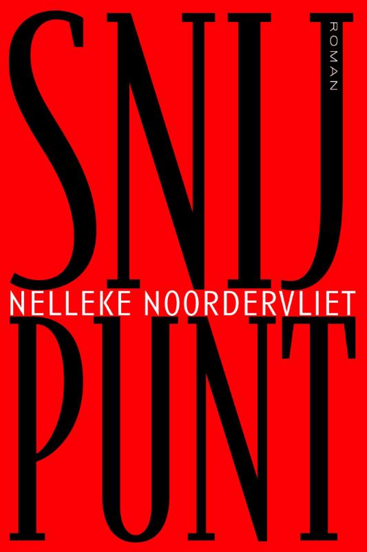 Omslag van Snijpunt