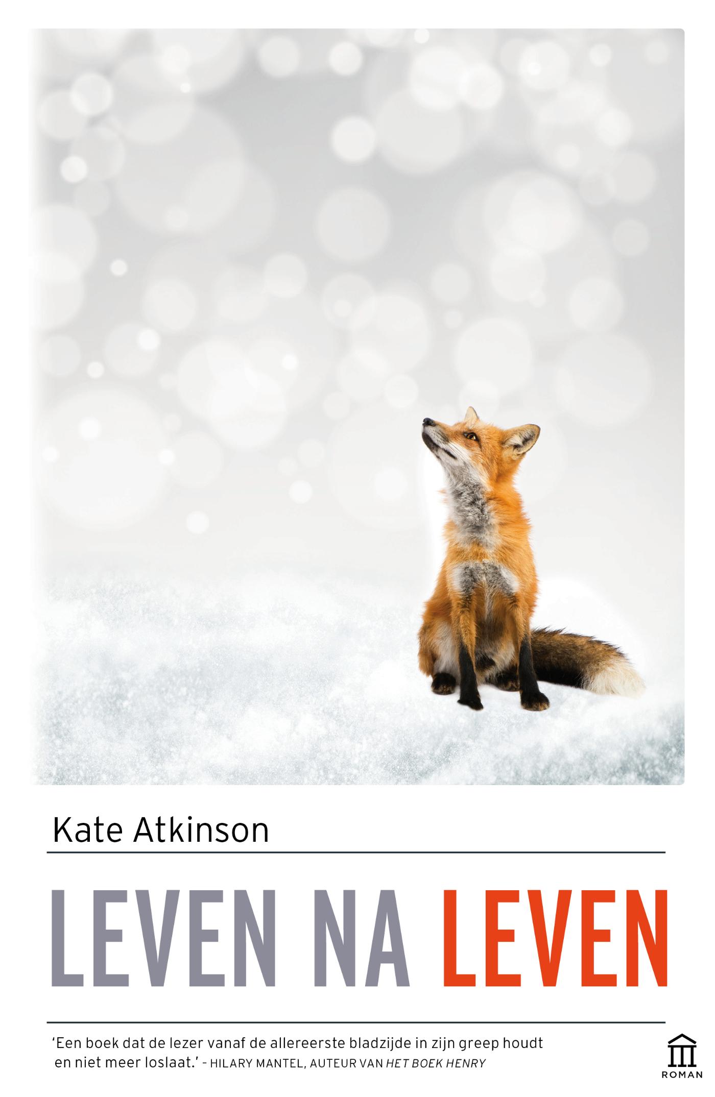 Omslag van Leven na leven