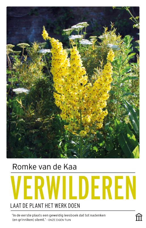 Omslag van Verwilderen