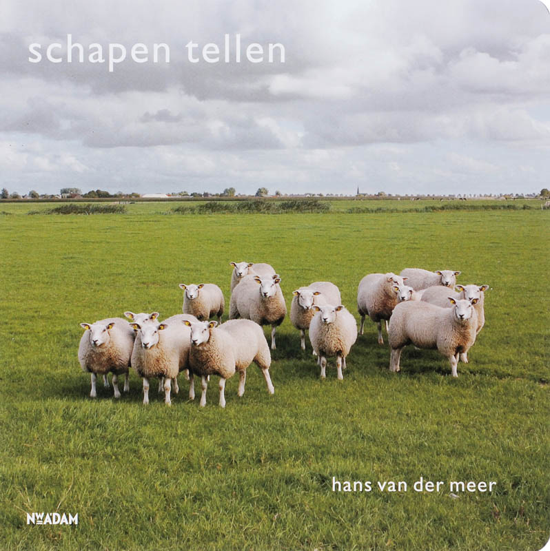 Omslag van Schapen tellen