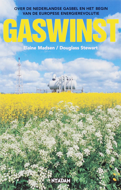 Omslag van Gaswinst