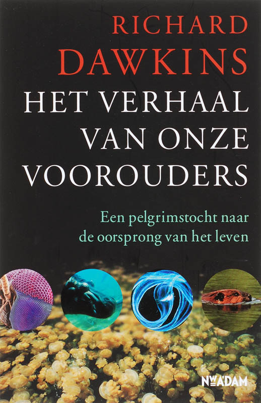 Omslag van Verhaal van onze voorouders