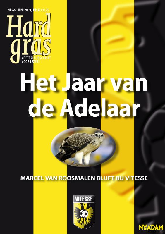 Omslag van Het jaar van de adelaar