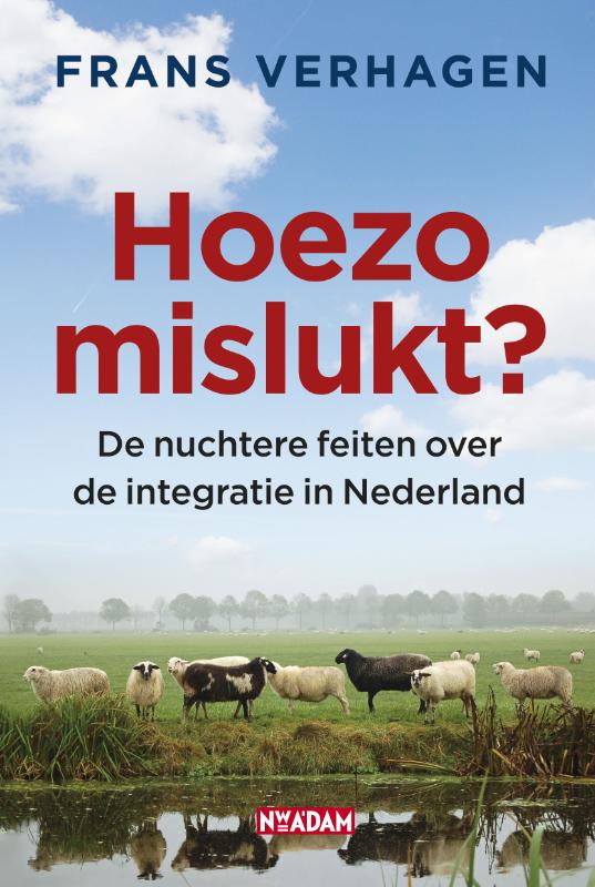 Omslag van Hoezo mislukt?