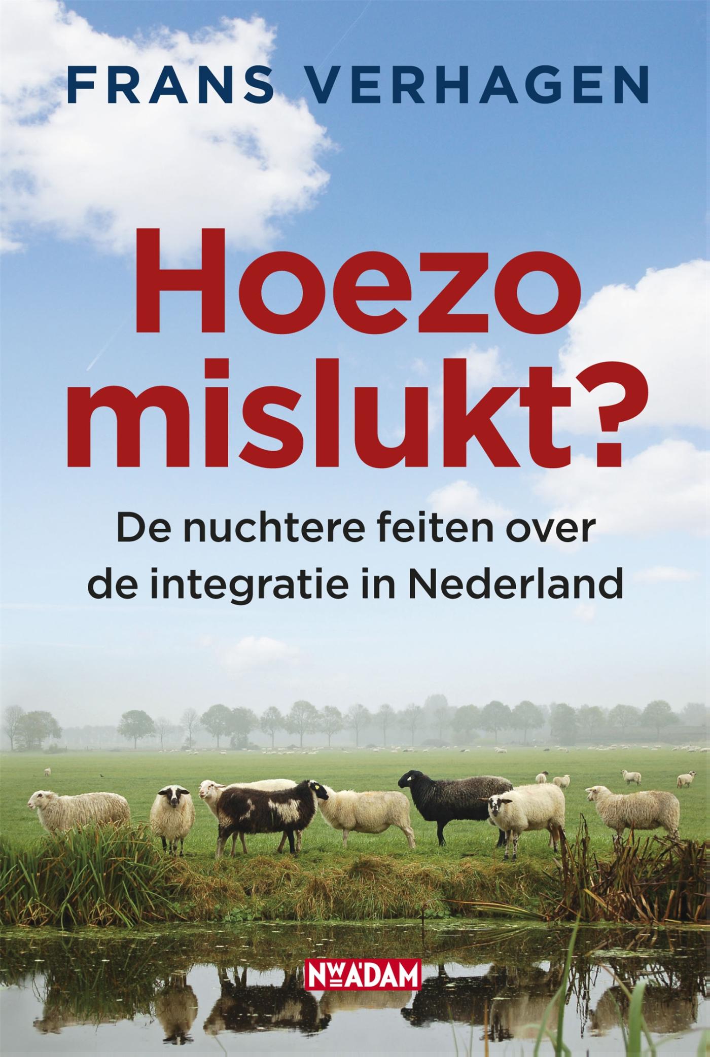 Omslag van Hoezo mislukt?