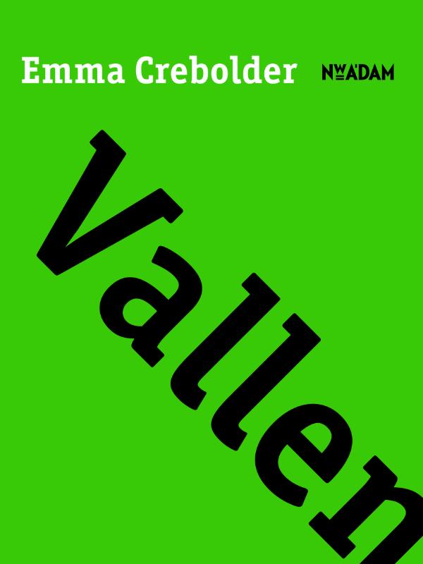 Omslag van Vallen