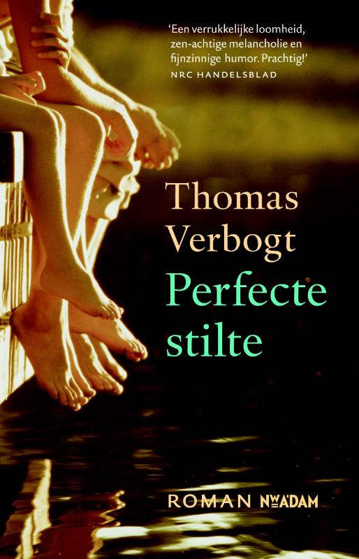 Omslag van Perfecte stilte