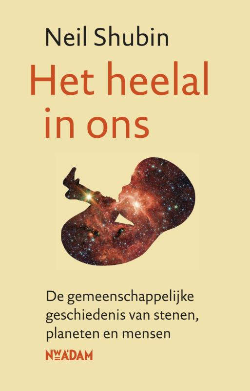 Omslag van Het heelal in ons