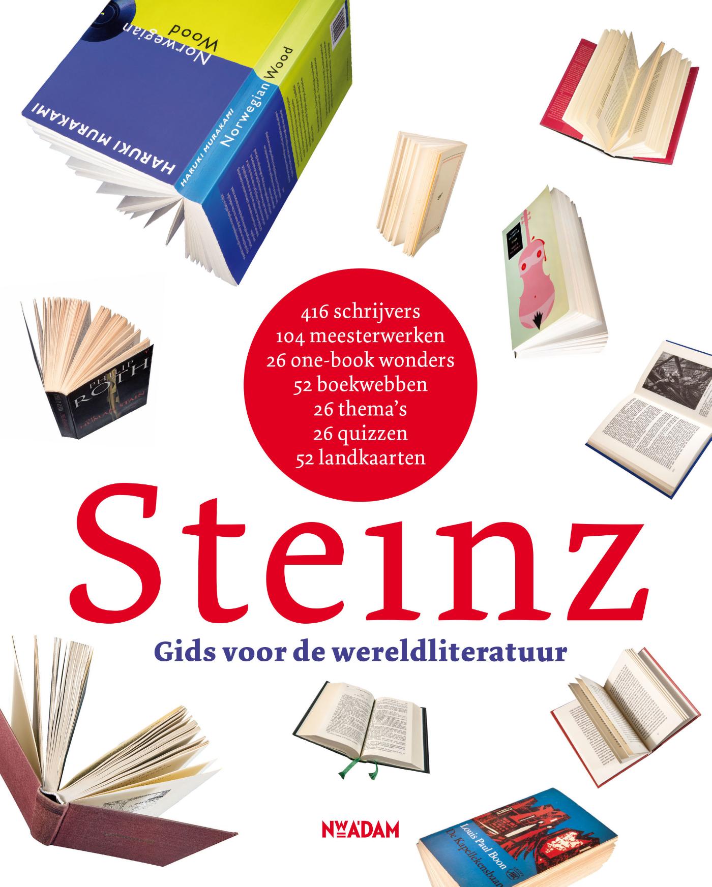 Omslag van Steinz