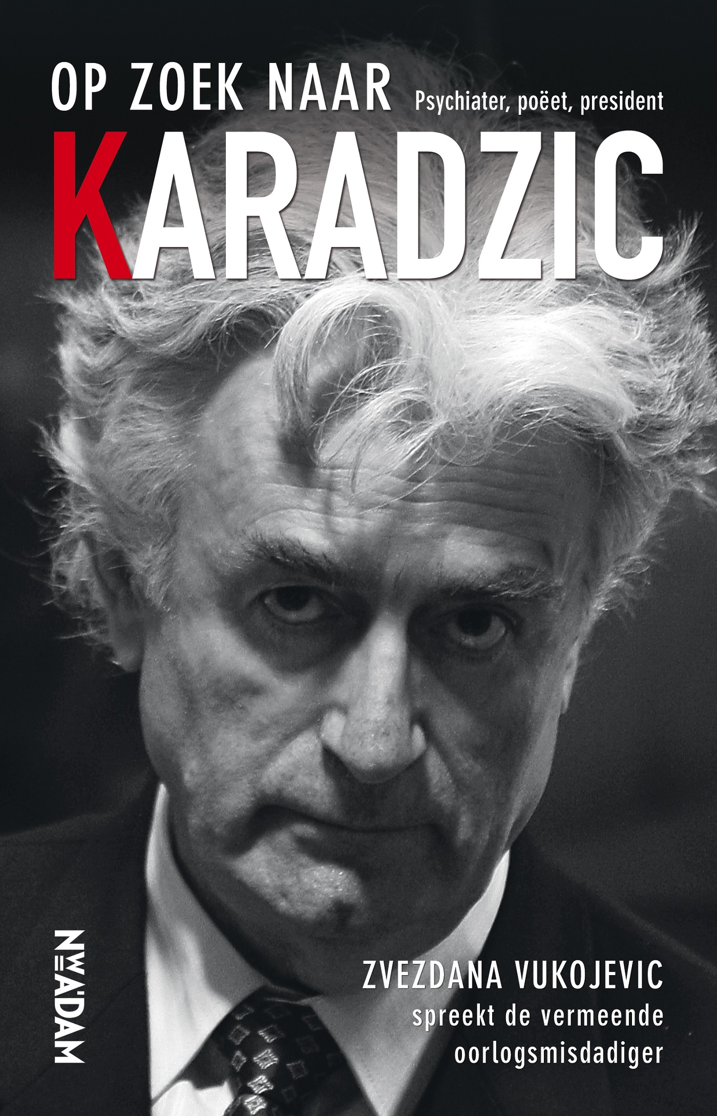 Omslag van Op zoek naar Karadzic