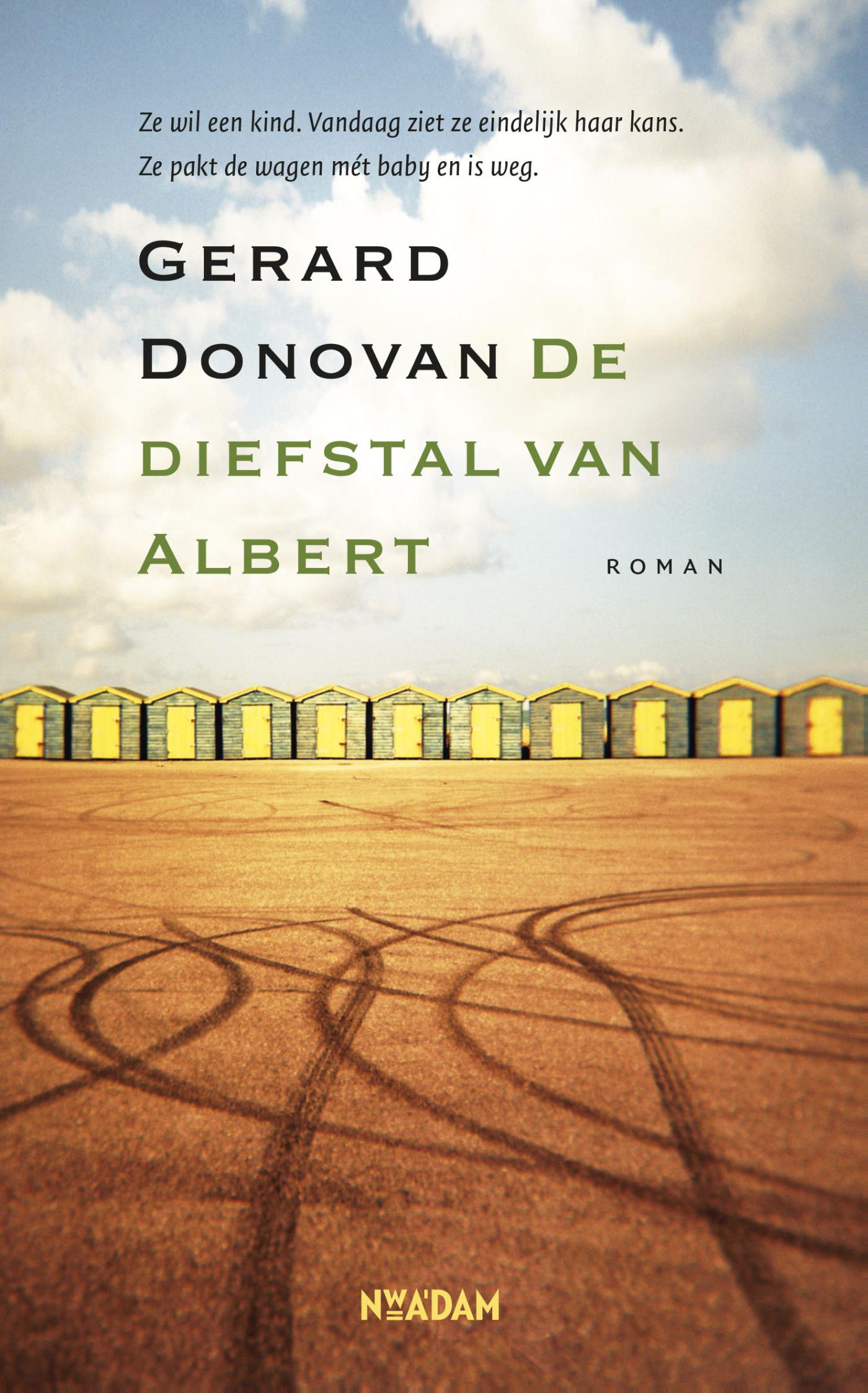 Omslag van De diefstal van Albert