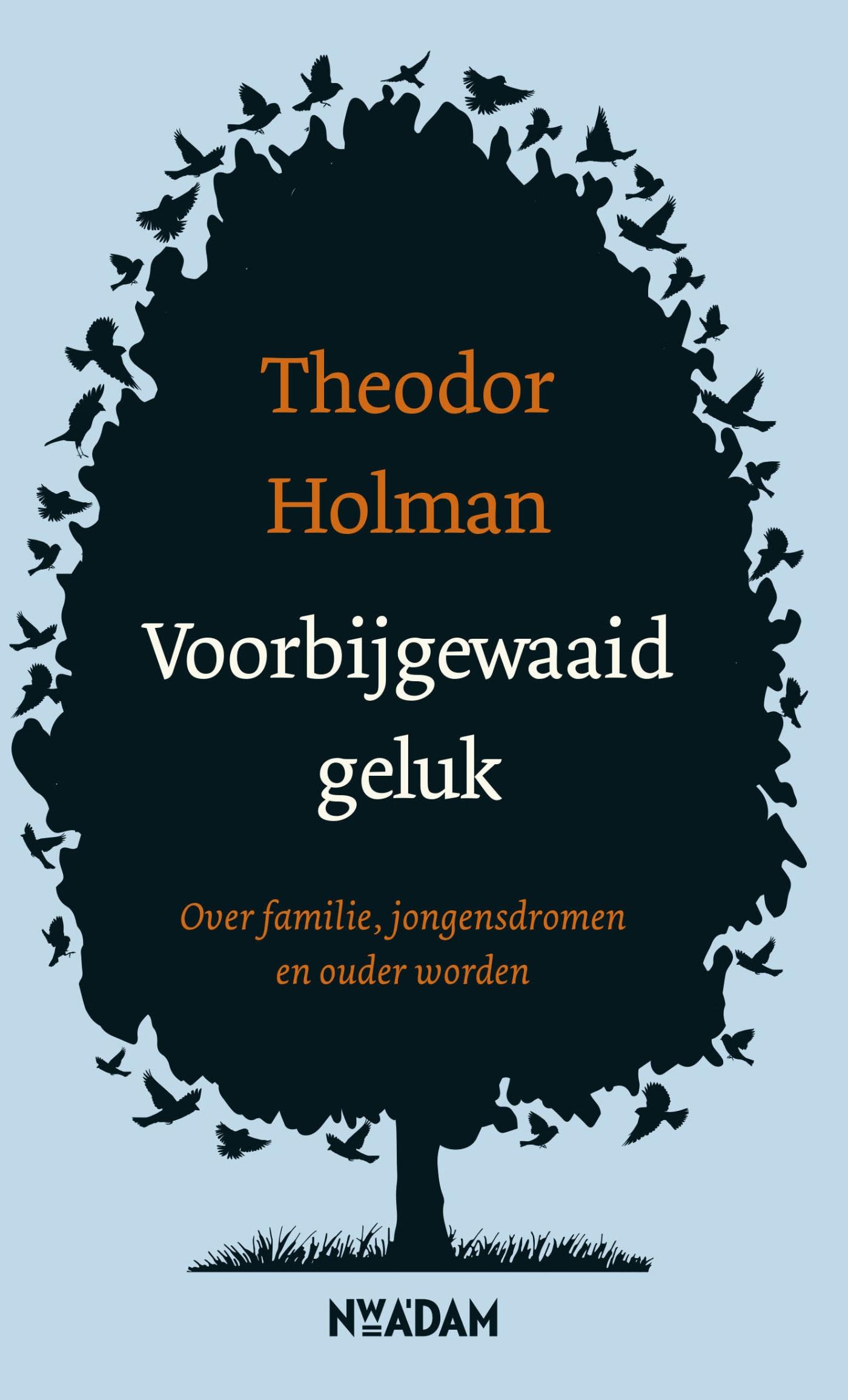 Omslag van Voorbijgewaaid geluk