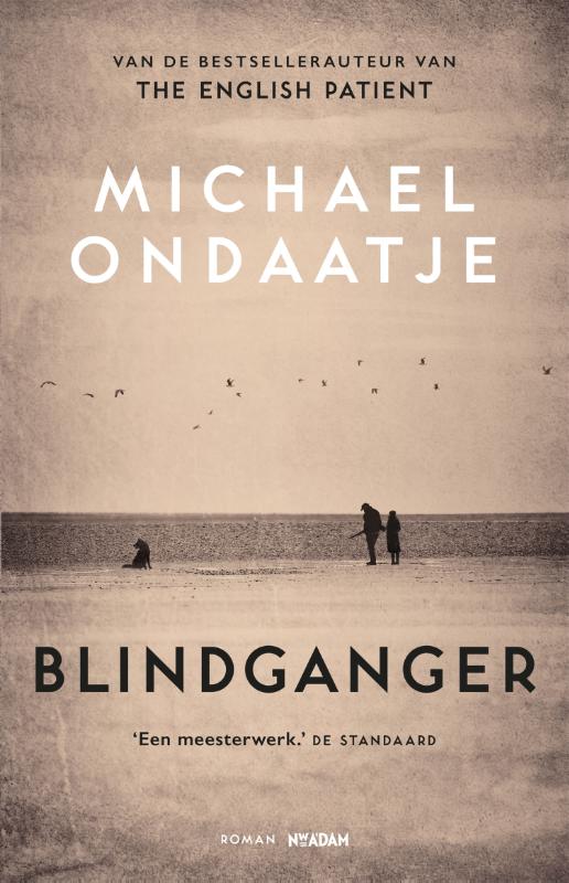 Omslag van Blindganger