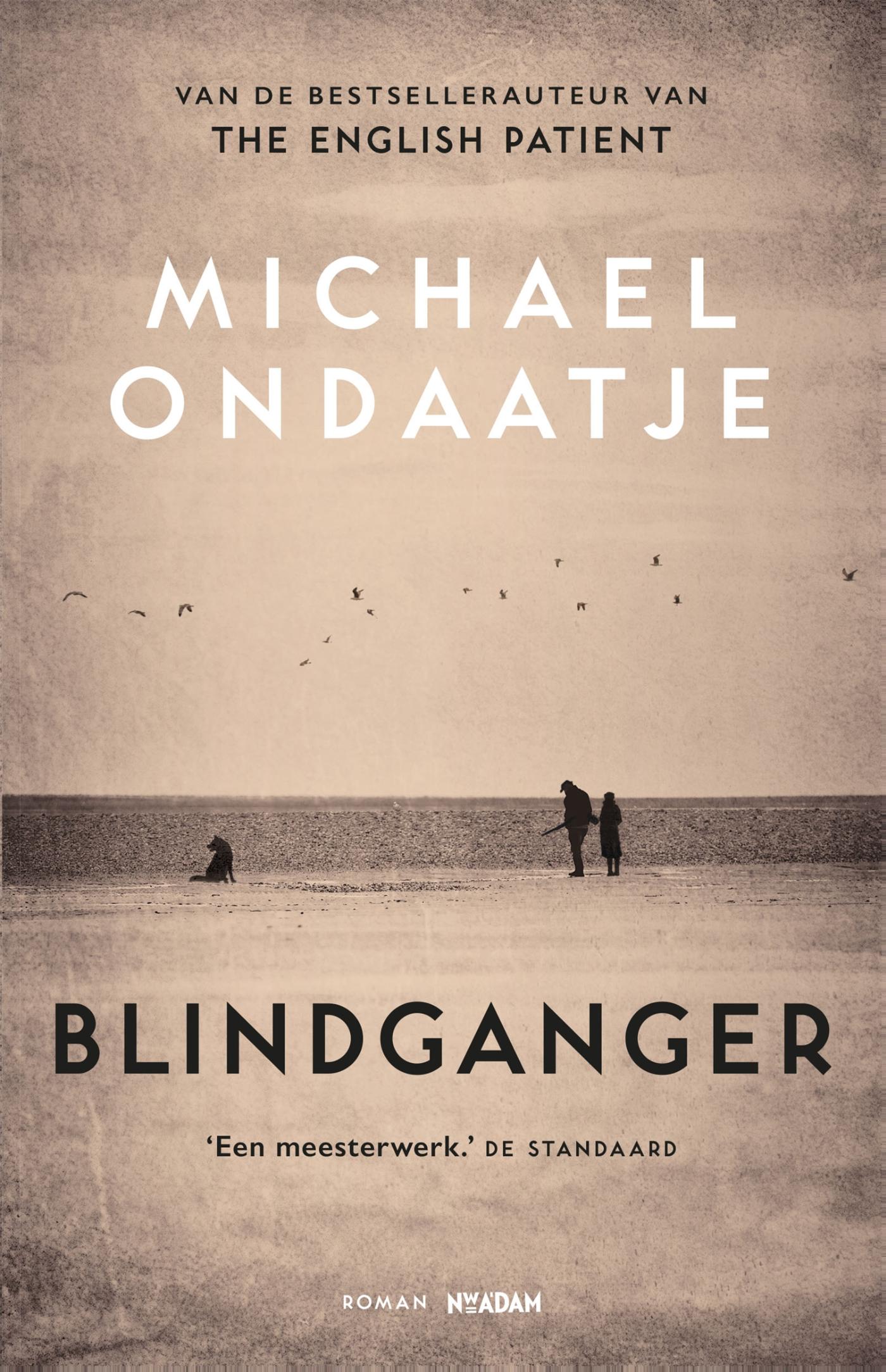 Omslag van Blindganger