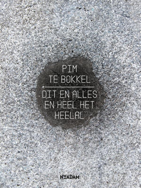 Omslag van Dit en alles en heel het heelal