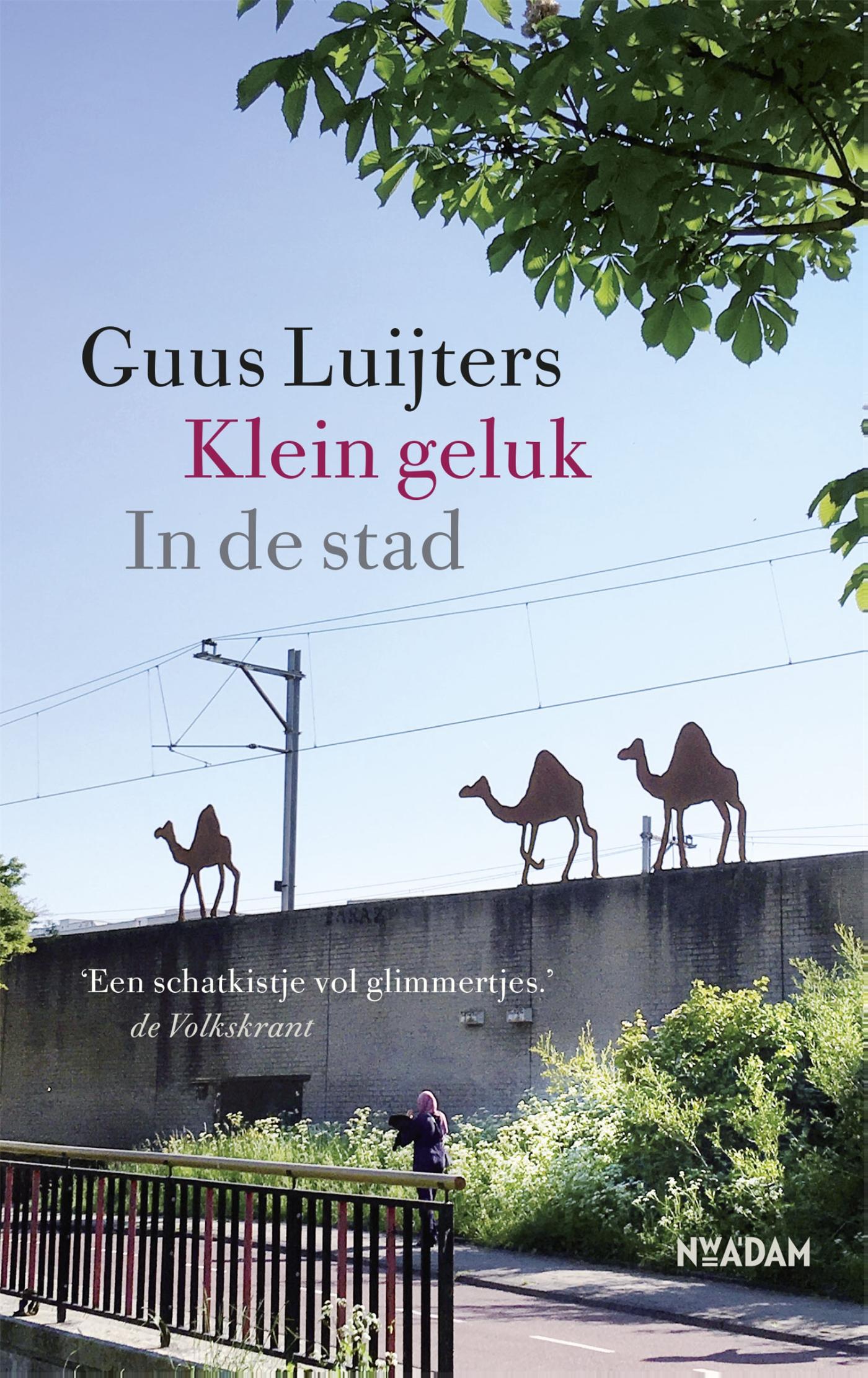 Omslag van Klein geluk In de stad