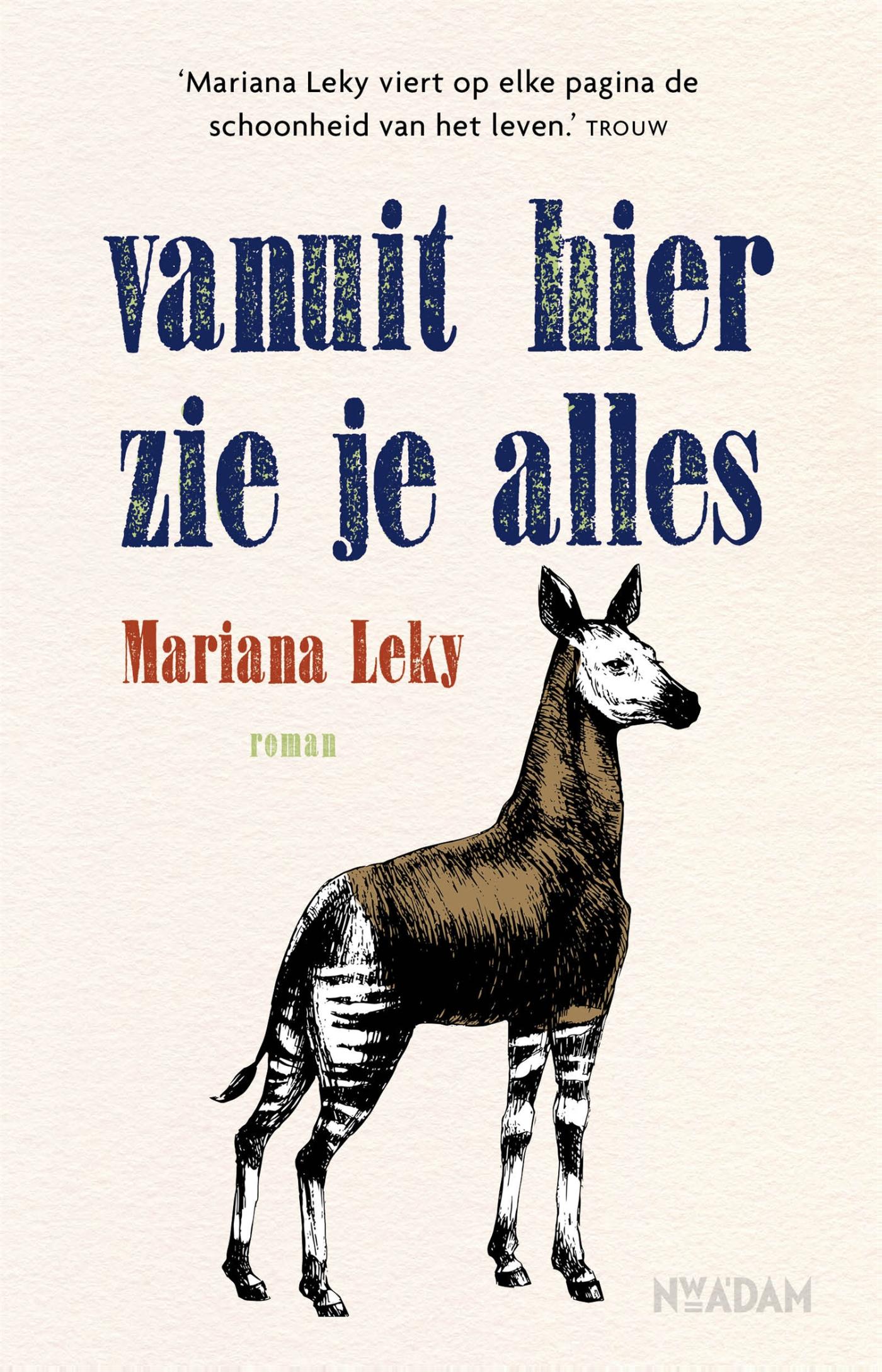Omslag van Vanuit hier zie je alles