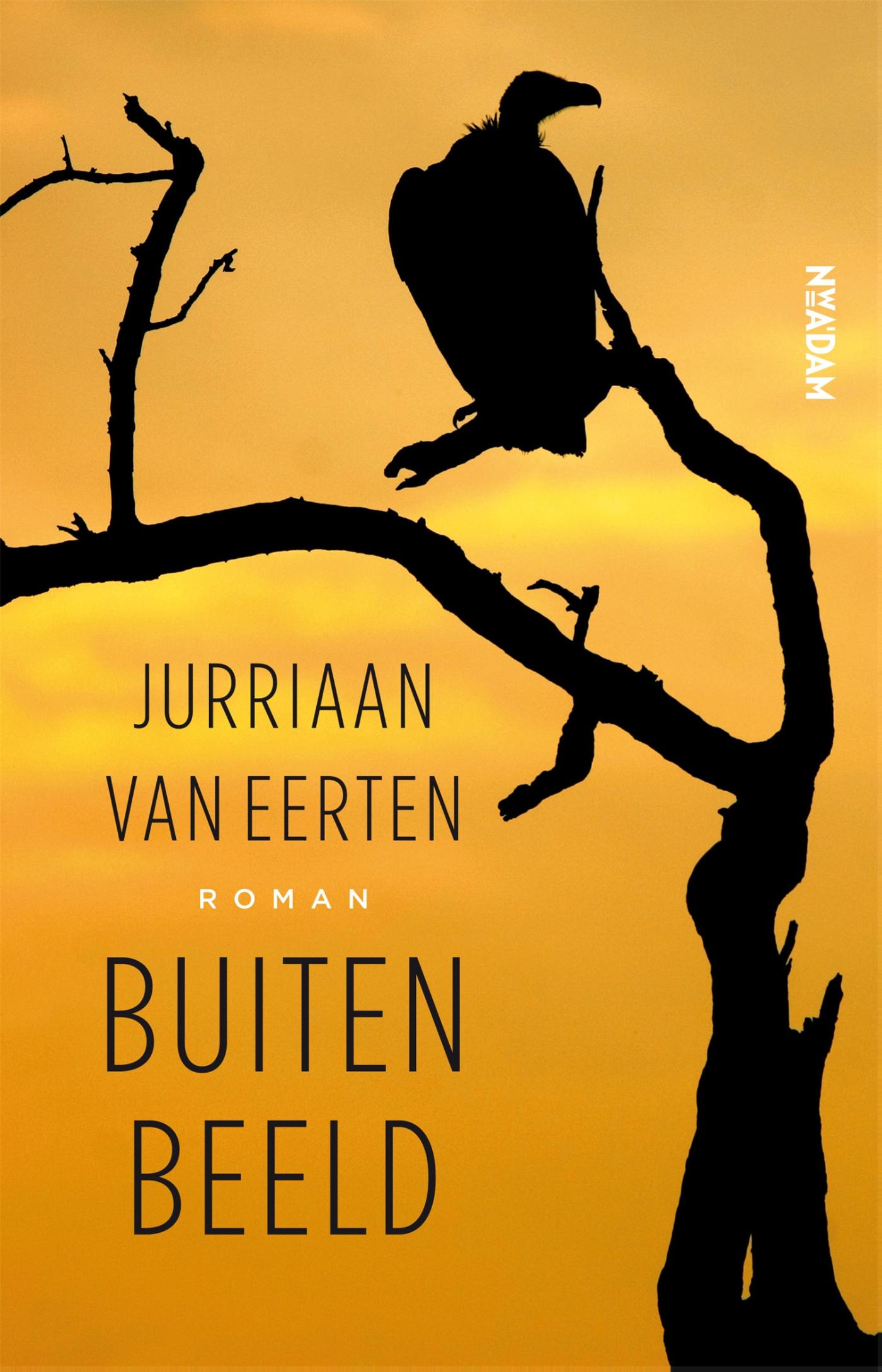 Omslag van Buiten beeld