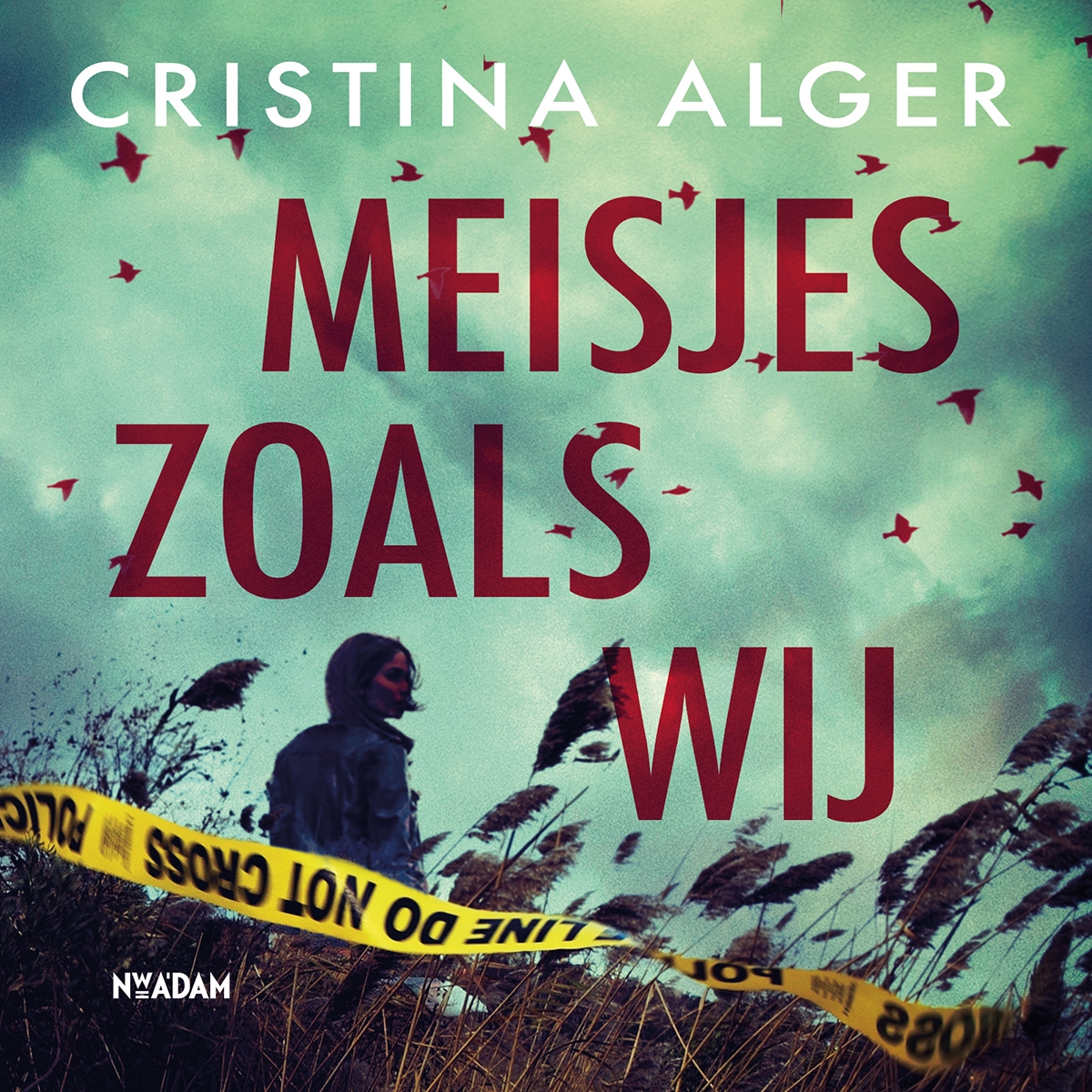 Omslag van Meisjes zoals wij