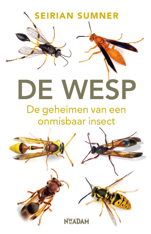 Omslag van De wesp