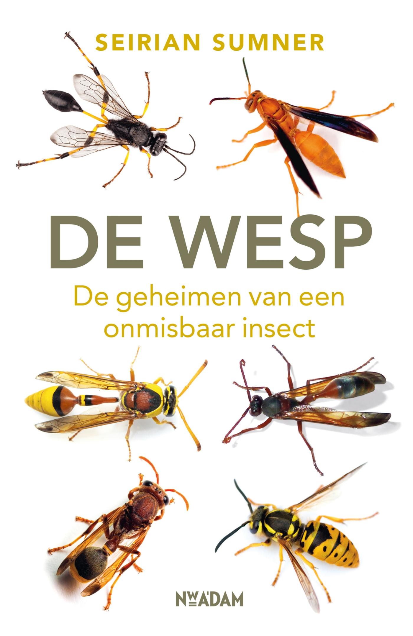 Omslag van De wesp