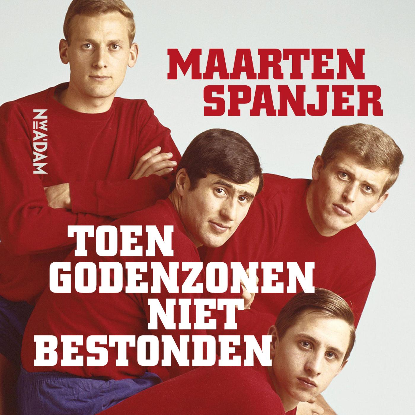 Omslag van Toen godenzonen niet bestonden