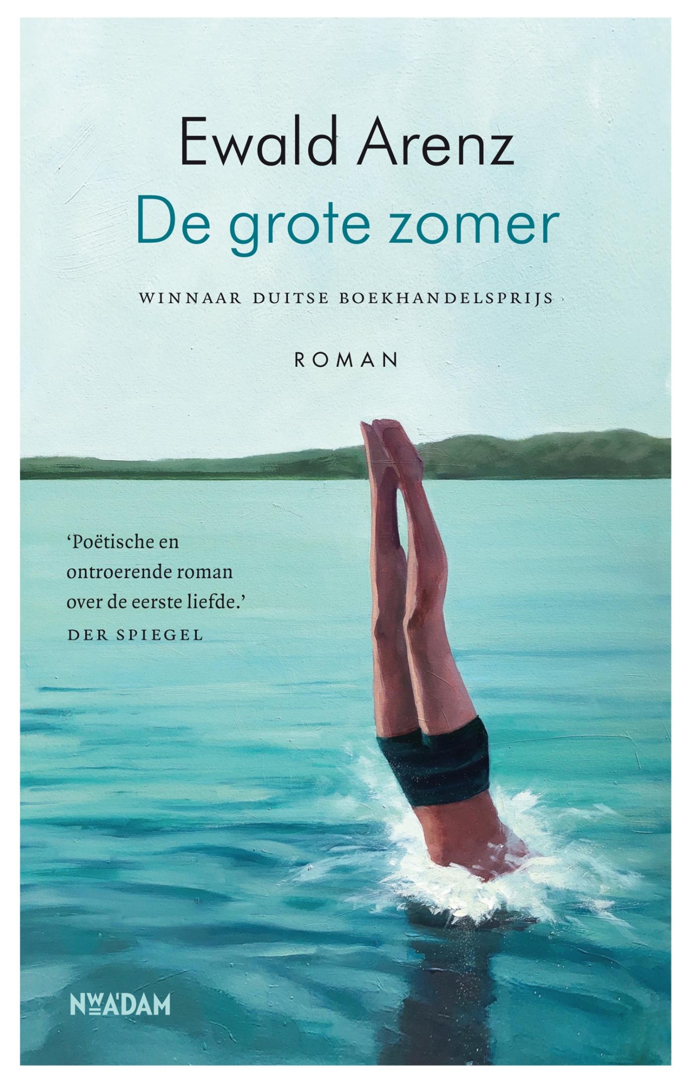 Omslag van De grote zomer