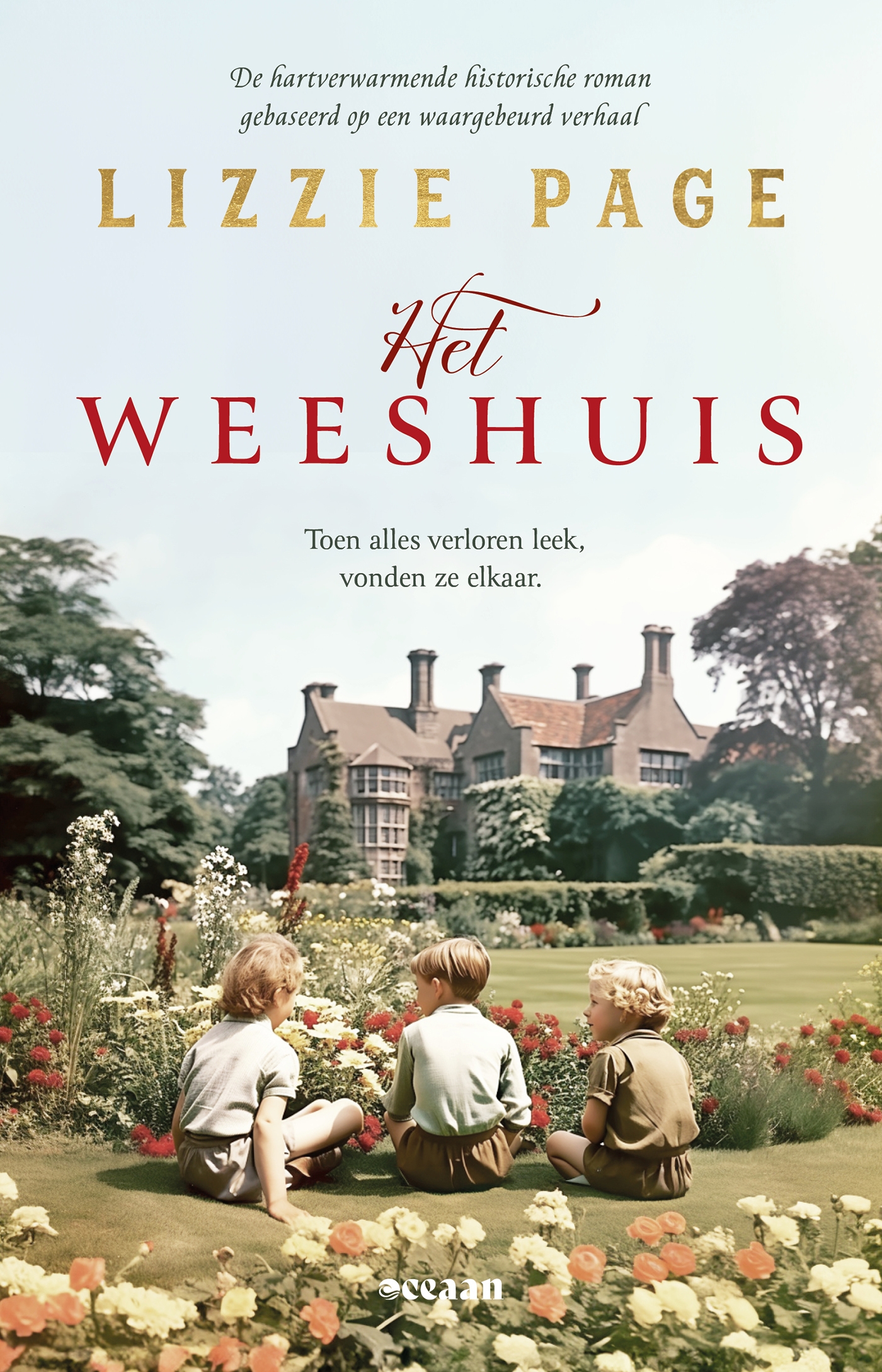 Omslag van Het weeshuis