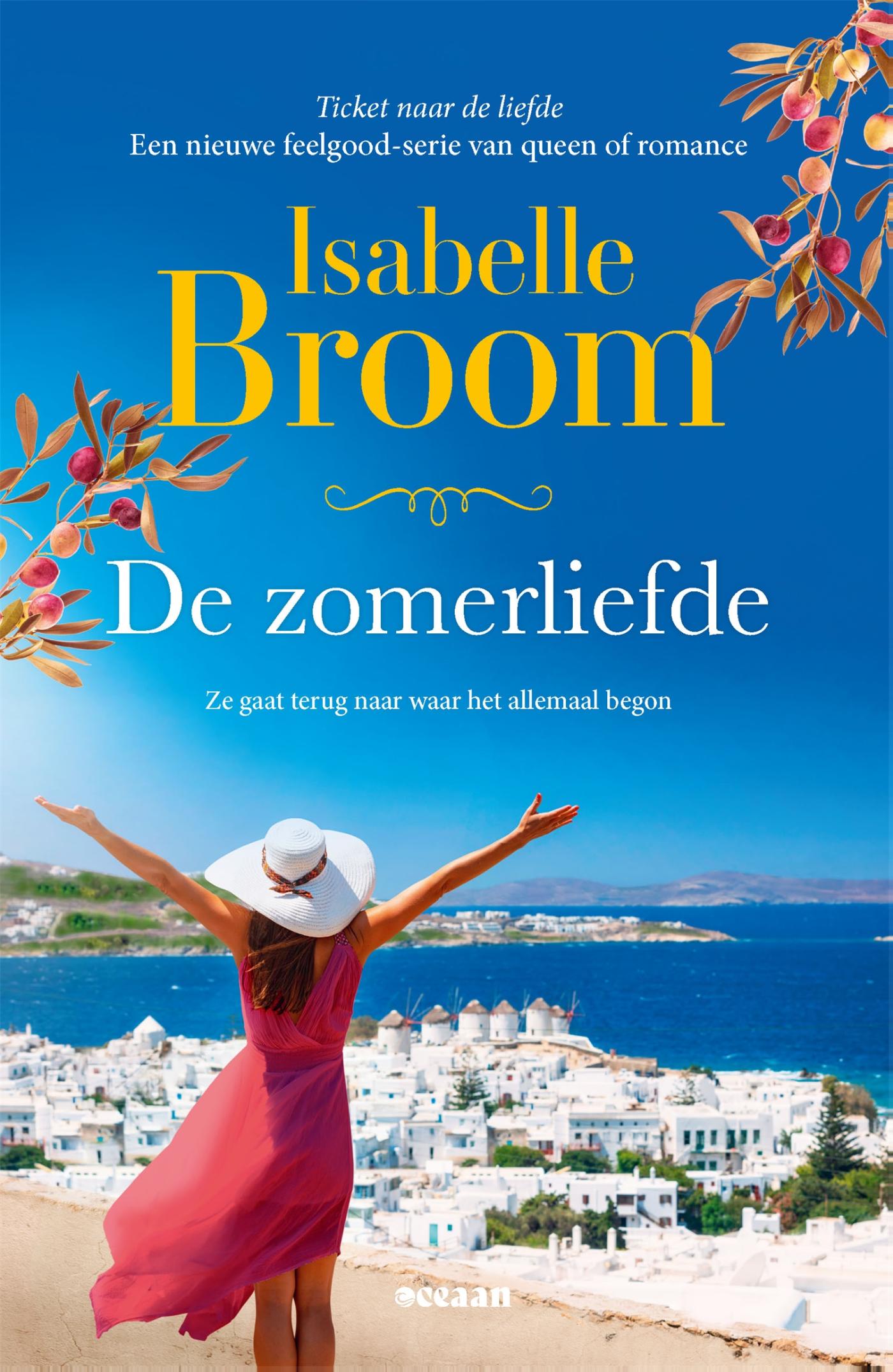 Omslag van De zomerliefde