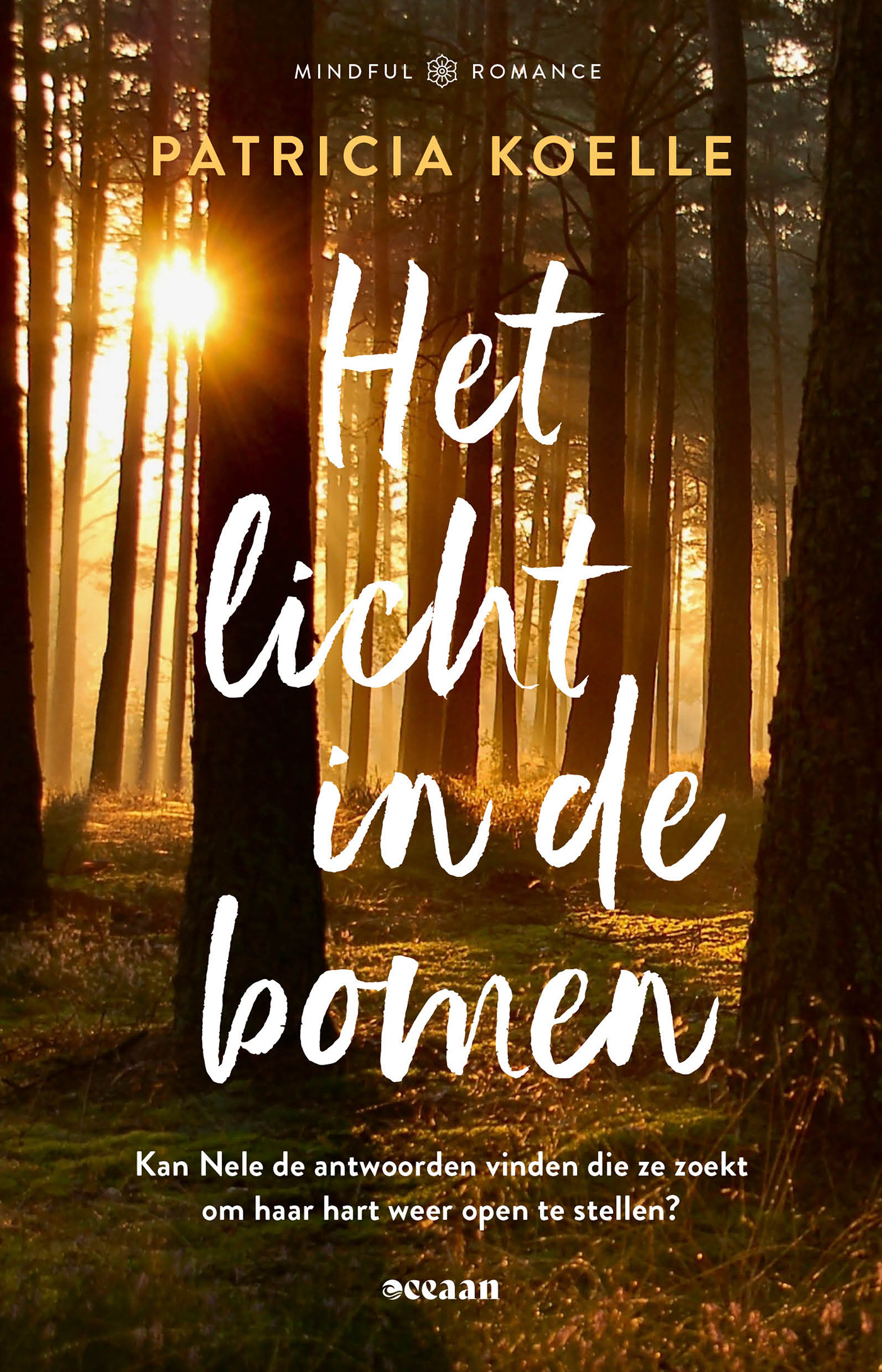 Omslag van Het licht in de bomen