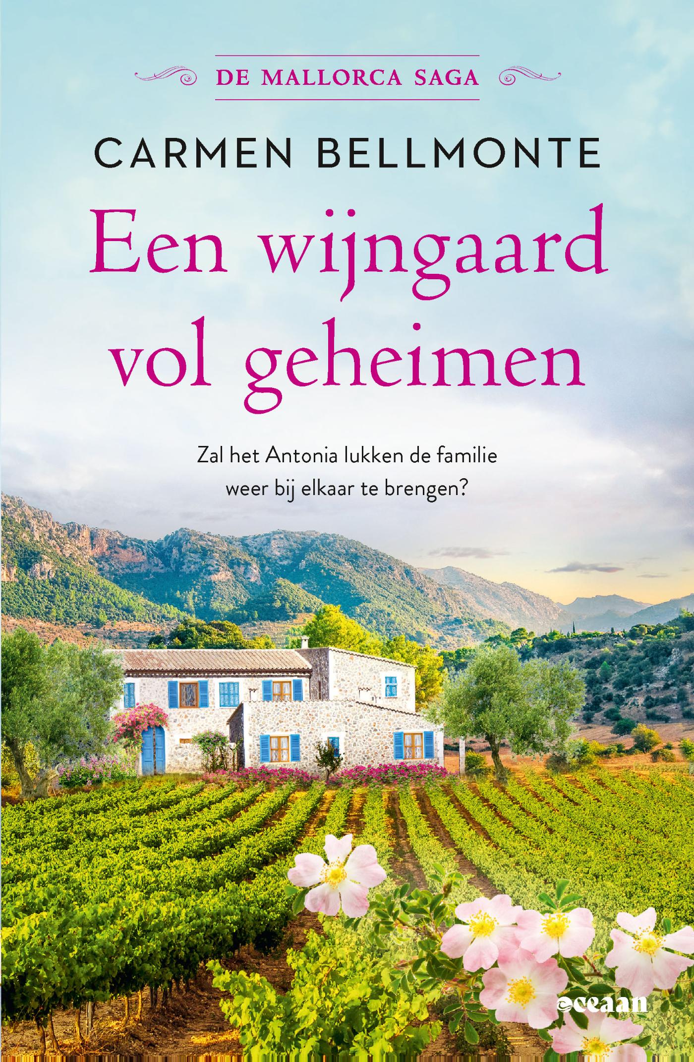 Omslag van Een wijngaard vol geheimen