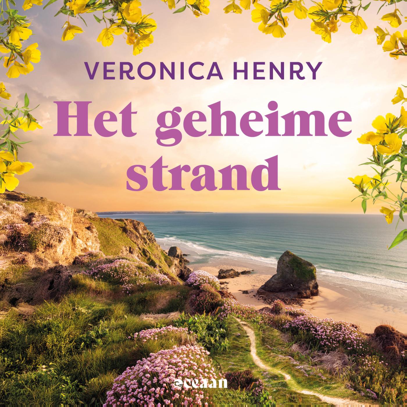 Omslag van Het geheime strand