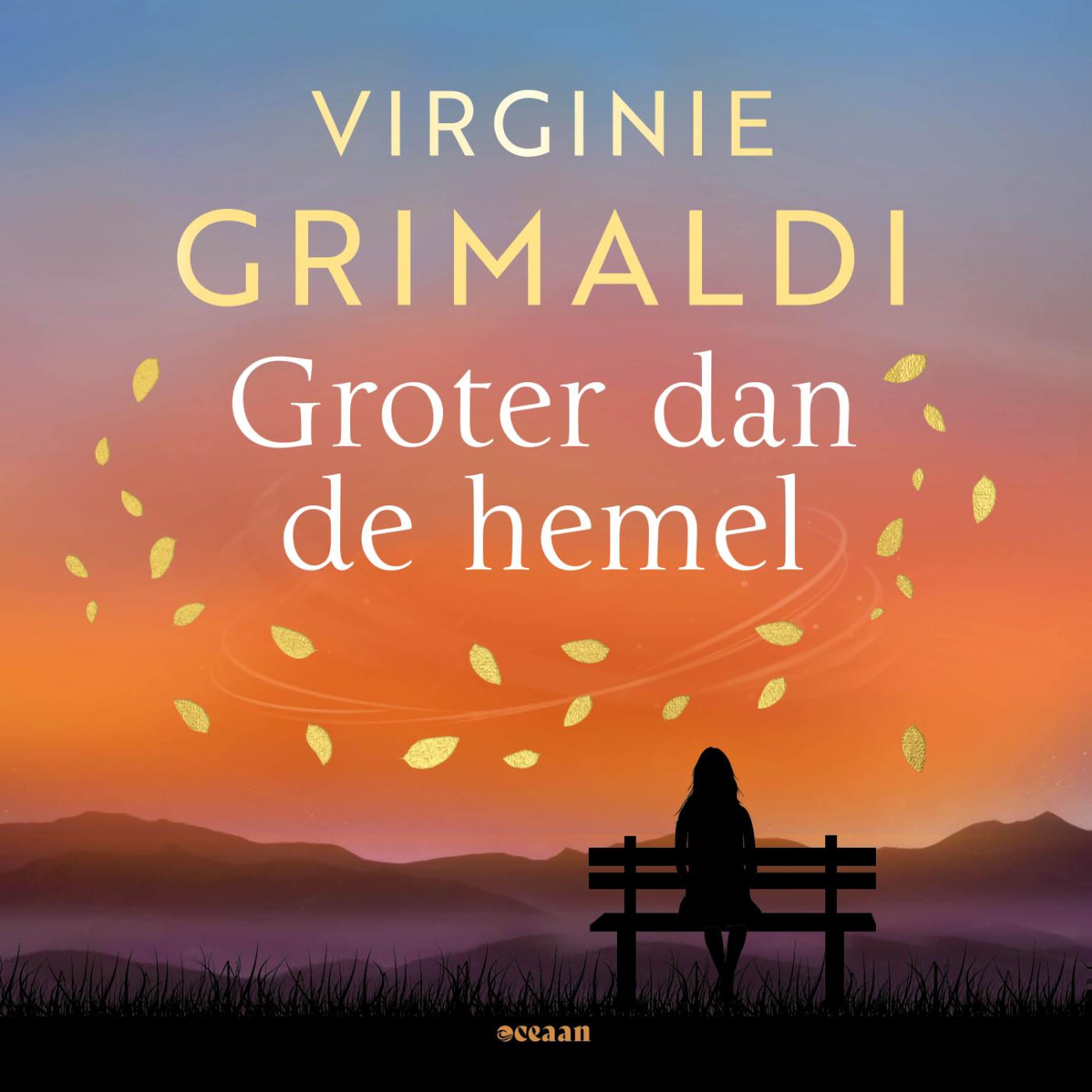Omslag van Groter dan de hemel