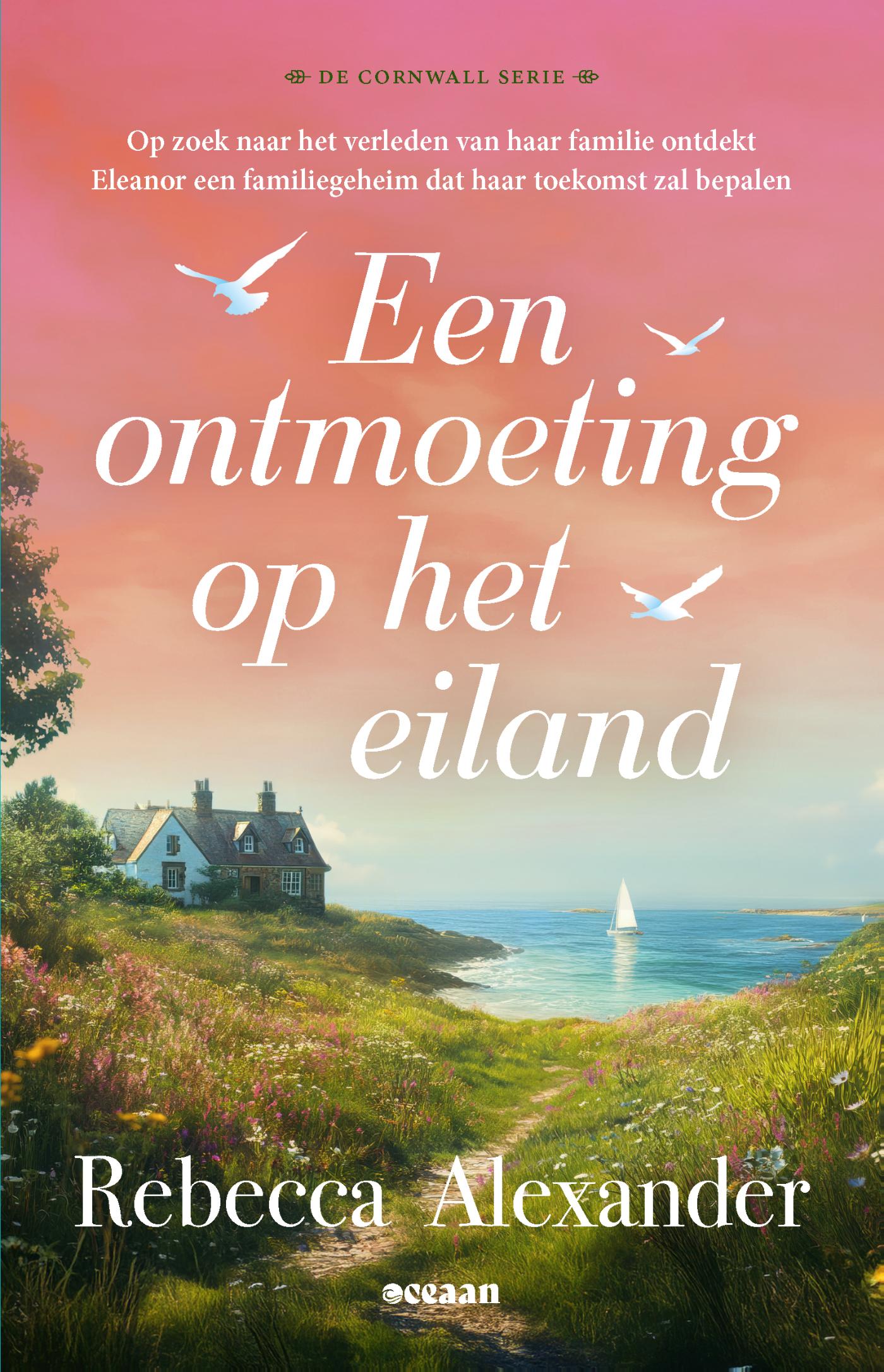 Omslag van Een ontmoeting op het eiland