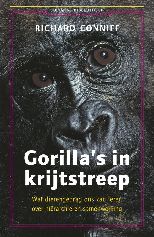 Omslag van Gorilla's in krijtstreep
