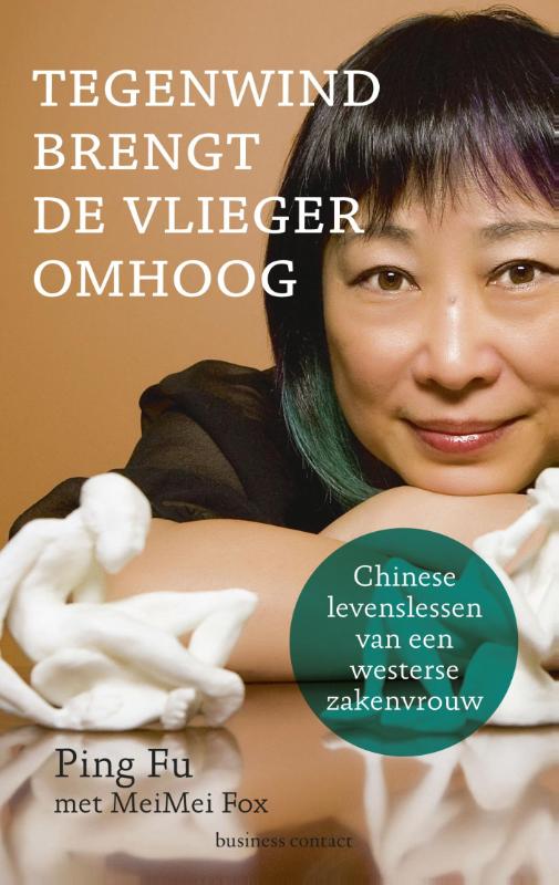Omslag van Tegenwind brengt de vlieger omhoog