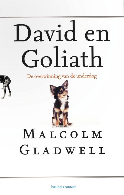 Omslag van David en Goliath