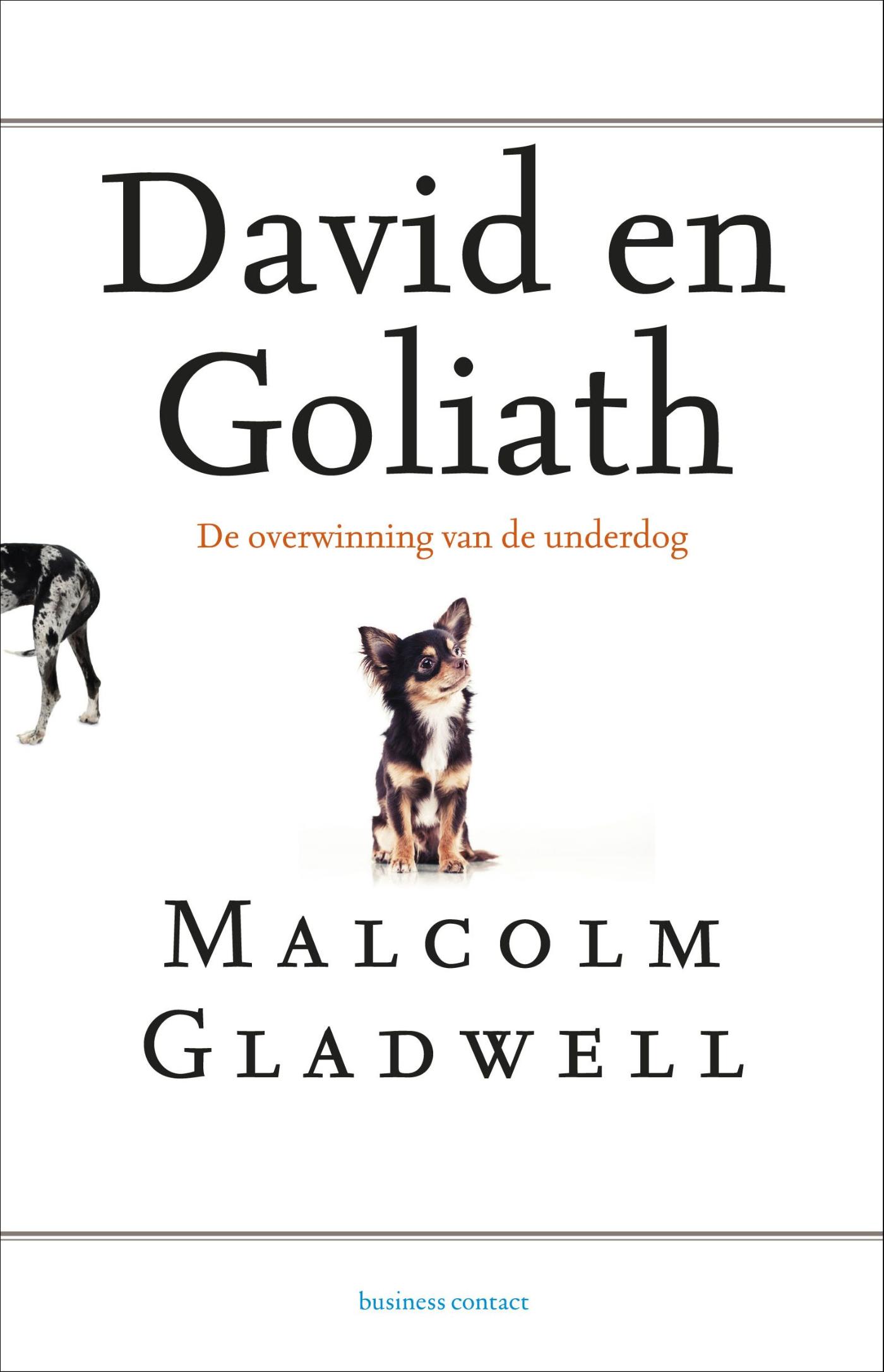 Omslag van David en Goliath