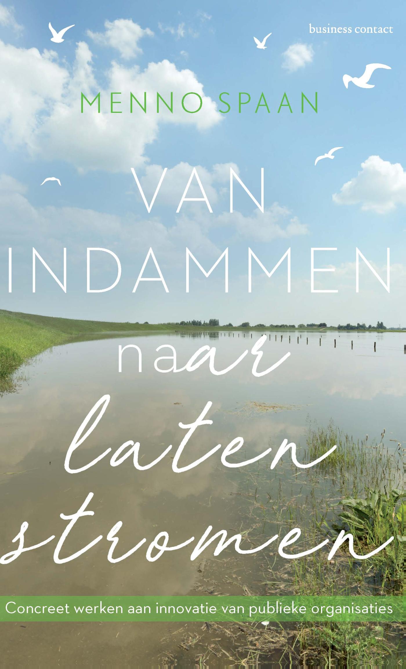 Omslag van Van indammen naar laten stromen