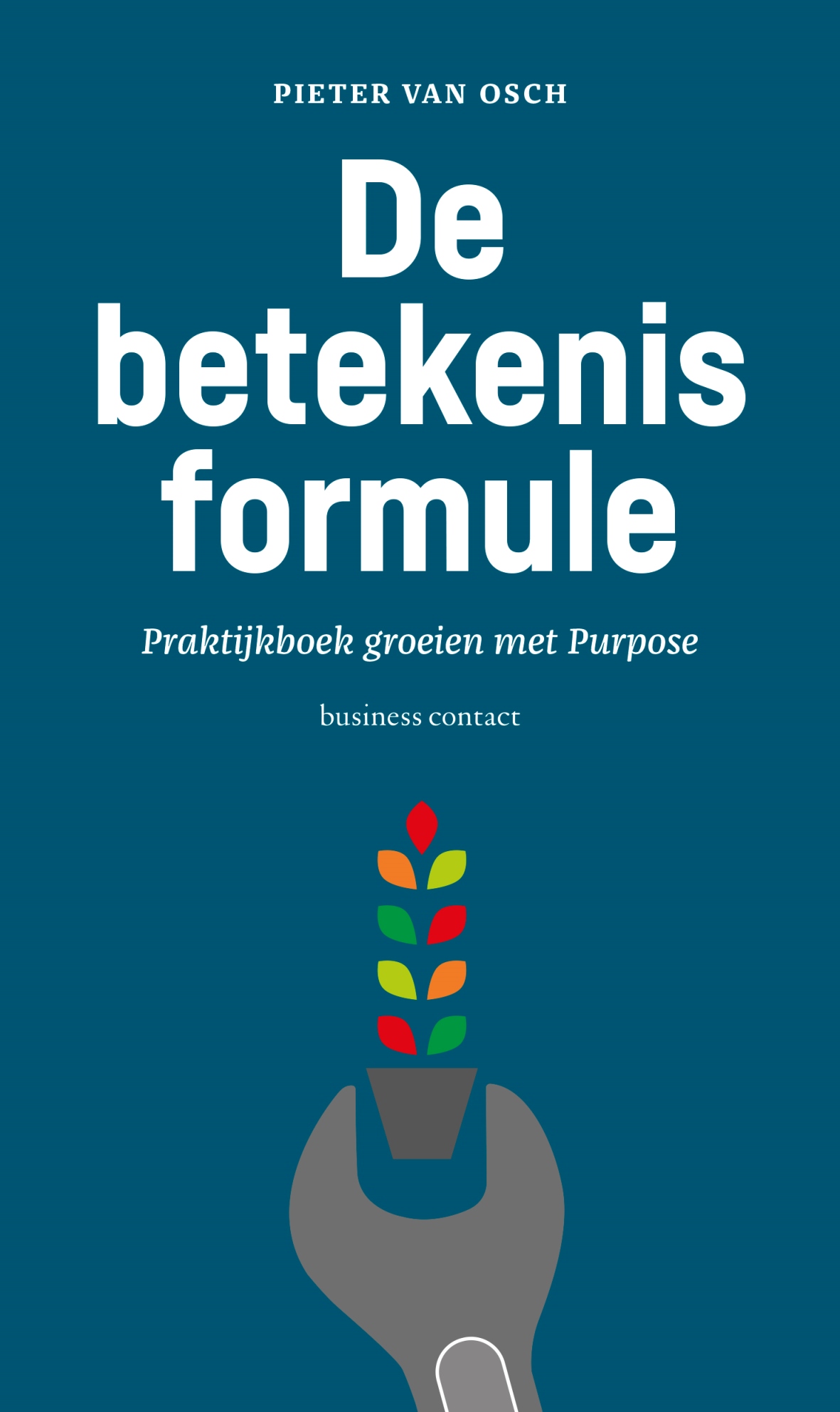 Omslag van De betekenisformule