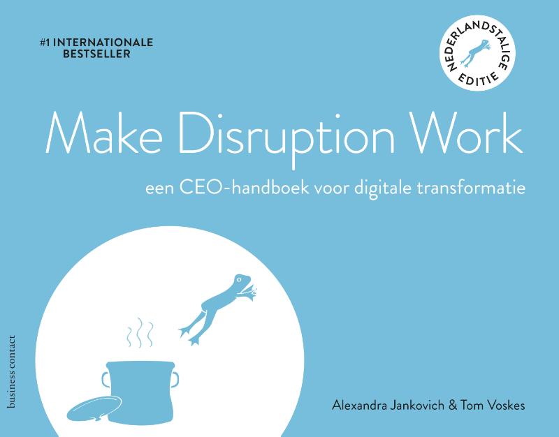 Omslag van Make Disruption Work