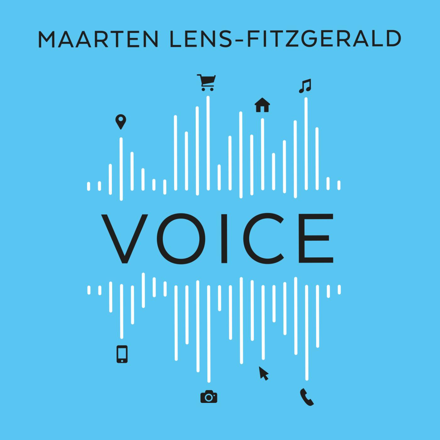 Omslag van Voice