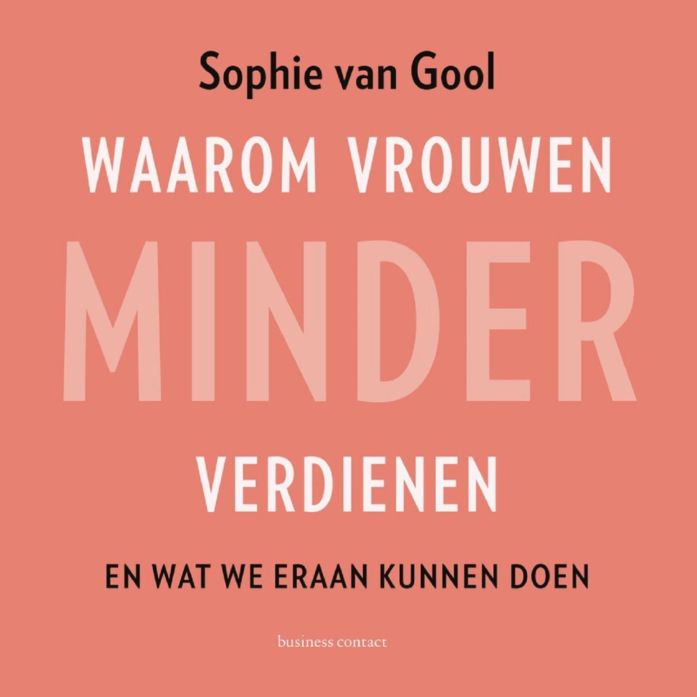 Omslag van Waarom vrouwen minder verdienen