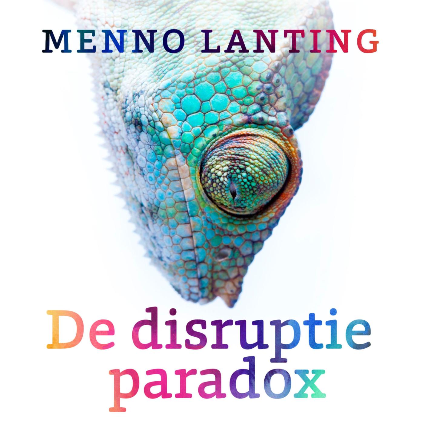 Omslag van De disruptieparadox